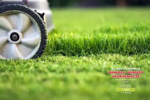 Koło kosiarki na tle soczystej trawy. Tekst: "Najskuteczniejsze nawozy i humusty ukorzeniające. Preparaty do ochrony roślin Shugo Garden". Yara Mila Complex opinie.