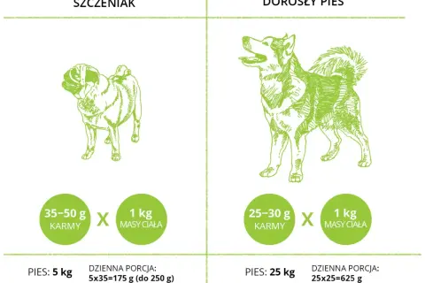 Tabela: ile powinien jeść szczeniak i dorosły pies. Pokazuje dzienne porcje karmy w zależności od wagi psa.
