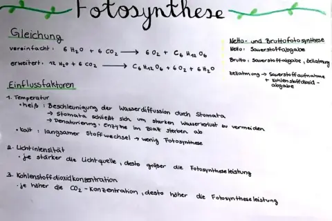 Die reaktionsgleichung fotosynthese wird erklärt, mit Einflussfaktoren wie Temperatur, Lichtintensität und CO₂-Konzentration.