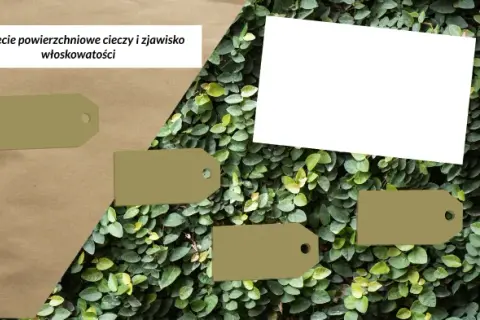Na czym polega zjawisko włoskowatości i jak wpływa na życie roślin?