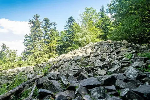 Kamieniste zbocze na najwyższym szczycie Gór Świętokrzyskich, otoczone gęstym lasem świerkowym.