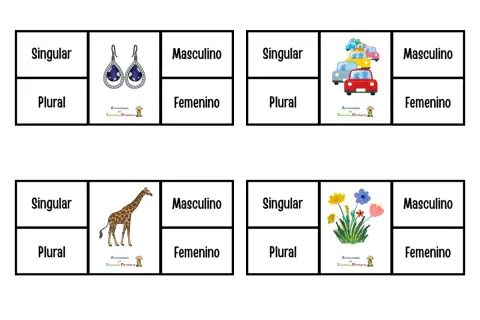 Cuatro tarjetas con divisiones para singular/plural y masculino/femenino, mostrando pendientes, coches, jirafa y flores.