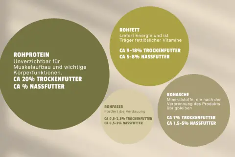 Grafik zeigt Nährwerte für Hundefutter. Rohfaser fördert die Verdauung: ca. 0,5-2,5% im Trockenfutter, 0,5-2% im Nassfutter.