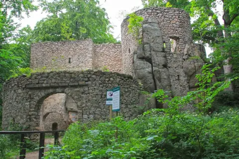Kamienne ruiny zamku w Janowicach Wielkich, otoczone bujną zielenią, to jedne z najciekawszych atrakcji regionu.