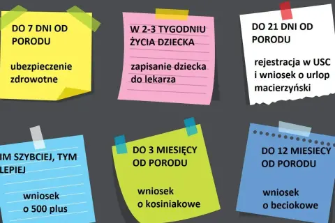 Terminy formalności po porodzie: ubezpieczenie, rejestracja dziecka, urlop macierzyński, wniosek o 500+, kosiniakowe, beciokowe. Czy jest obowiązek meldunku? Nie ma go na liście.