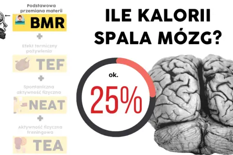 Czy rozciąganie spala kalorie? Poznaj fakty i prawdziwe korzyści!