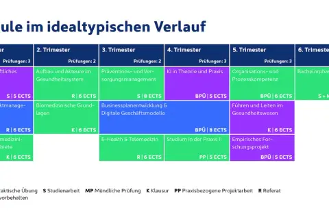 Übersicht über Module im berufsbegleitenden Gesundheitsmanagement: Von wissenschaftlichem Arbeiten bis zur Bachelorphase, über KI und Prozesskompetenz.
