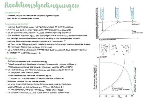 Notizen zu enzymatischen Reaktionen: Die RGT-Regel beschreibt, wie sich die Reaktionsgeschwindigkeit mit der Temperatur ändert.