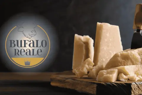 Formaggi stagionati di bufala, con logo "Bufalo Reale". Un coltello da formaggio è conficcato in un pezzo.