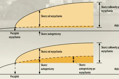 Anatomia betoniarki: Jak jej wygląd zdradza sposób działania?