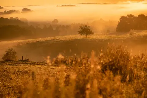 Fotograf jak zacząć - Kluczowe wskazówki dla początkujących fotografów