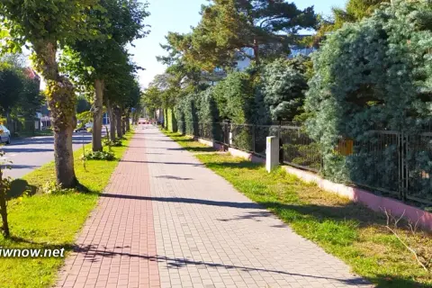 Komary nad morzem: Czy zrujnują Twój urlop? Sprawdź!