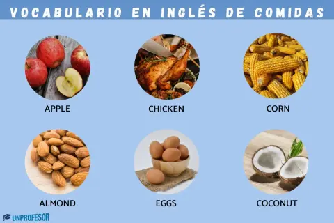 Vocabulario de comida en inglés: manzanas, pollo, maíz, almendras, huevos y coco.