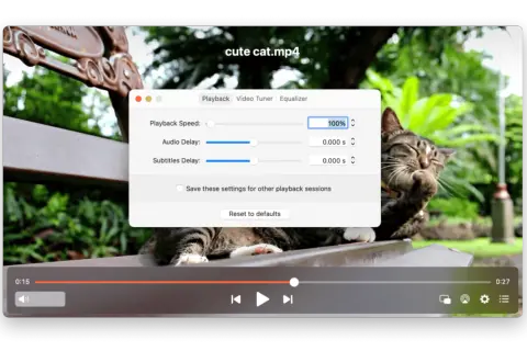 A cute cat video on a Mac is not playing. The playback speed is set to 100%, with no audio or subtitle delay.