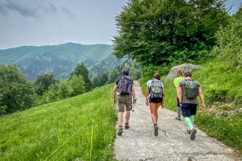 Un gruppo di amici fa delle **passeggiate in montagna vicino a Milano**, godendosi il verde lussureggiante e le colline ondulate.