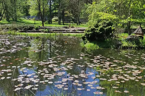 Atrakcje w arboretum w Rogowie, które musisz zobaczyć podczas wizyty