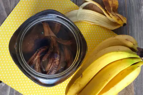 Nawóz z banana do czego? Zastosowanie i korzyści dla roślin w ogrodzie