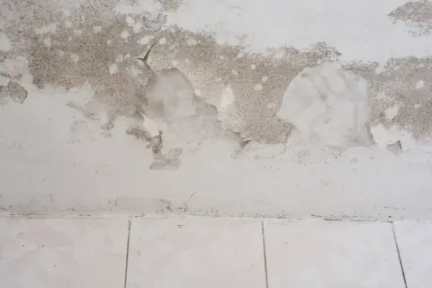 Schimmel und abblätternde Farbe an einer feuchten Kellerwand. Was tun gegen den Schimmelbefall?