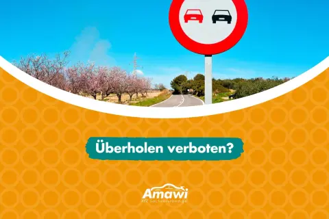 Verkehrsschild "Überholen verboten" (VZ 276) vor blühenden Bäumen und einer Straße. Frage: Überholen verboten?