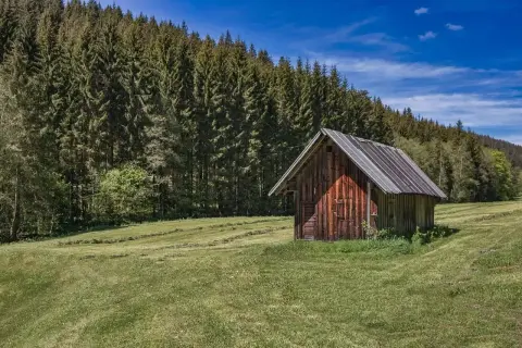 Pequeña casa de aperos de madera, con tejado a dos aguas, en un prado verde junto a un denso bosque. Ideal para planos de casa de aperos como vivienda.