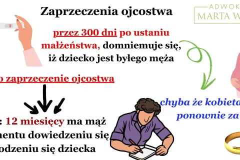 Grafika ilustruje zaprzeczenie ojcostwa. Pokazuje ciążę, test ciążowy, prawniczkę Martę Wnuk, mężczyznę piszącego dokument i obrączki.