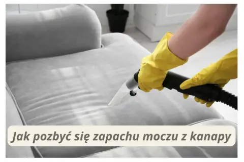 Jak usunąć zapach moczu z kanapy? Skuteczne metody i porady