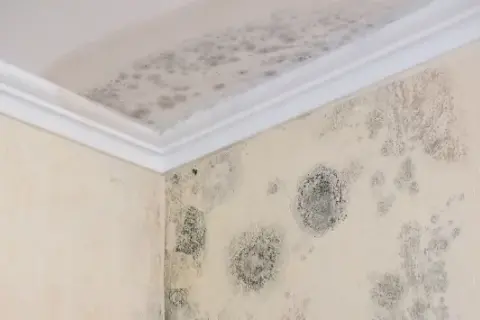 Badezimmer Tapete: So vermeiden Sie Schimmel und Schäden beim Anbringen