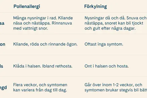 Tabell som jämför pollenallergi och förkylning. Vid pollenallergi kan man få vattnigt, genomskinligt snor. Förkylning ger tjockare snor.