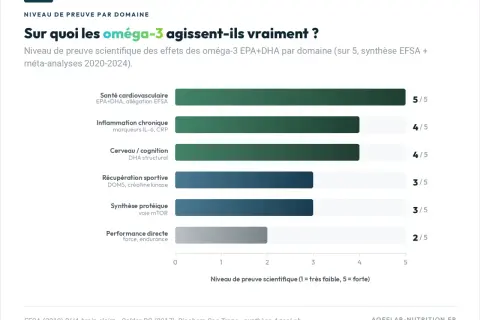 Les oméga-3 soutiennent la santé cardiovasculaire (5/5), l'inflammation chronique (4/5), le cerveau (4/5), la récupération sportive (3/5) et la synthèse protéique (3/5).