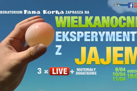 7 eksperymentów z jajkiem: Odkryj naukę przez zabawę dla dzieci!