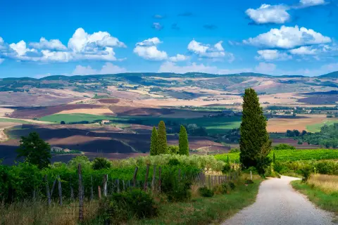 Strada sterrata attraversa dolci colline coltivate nella regione del Chianti, sotto un cielo azzurro con nuvole bianche.