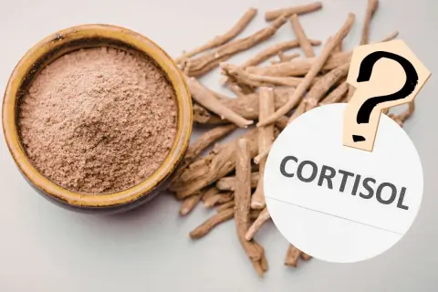 Ashwagandha-Wurzeln und Pulver neben einem Fragezeichen und dem Wort "Cortisol". Hilft Ashwagandha bei der Cortisol-Regulation?