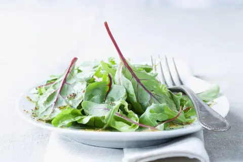 Frischer mangold salat mit Vinaigrette auf einem Teller, daneben eine Gabel.