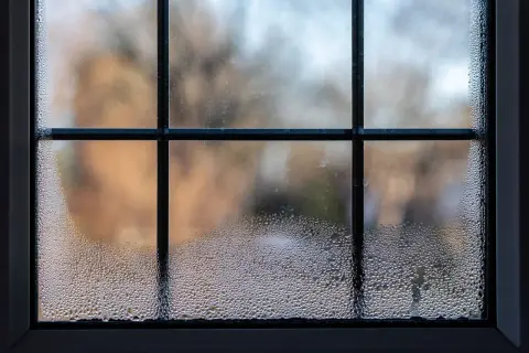 Zaparowane okna po nocy, z kroplami wody tworzącymi wzory na szybie. W tle rozmyty widok drzew.