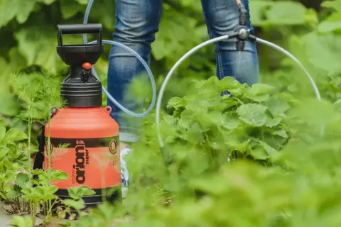 Pomarańczowy opryskiwacz w rękach osoby w dżinsach, w otoczeniu zielonych roślin.