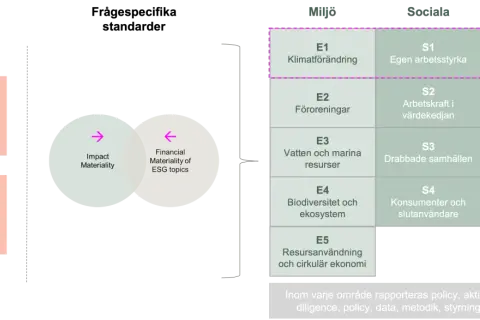 Schema för CSRD-direktivets standarder: övergripande, specifika, miljö, sociala och styrning.