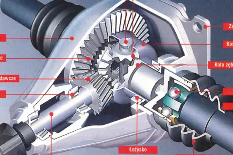 Przekrój mechanizmu różnicowego (dyferencjał) z widocznymi kołami zębatymi, łożyskami i półosią.