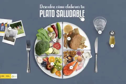 Un plato dividido en cuatro secciones muestra alimentos variados: verduras, frutas, cereales y proteínas. Es el plato del buen comer, ideal para una dieta equilibrada.