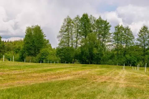 Ile kosztuje podział działki? Sprawdź, by uniknąć niepotrzebnych wydatków