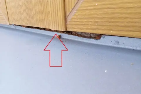 Ile czasu ma deweloper na usunięcie usterki? Sprawdź swoje prawa