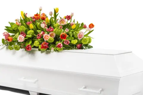 En vit kista med en vacker bukett av färgglada tulpaner och grönt. Vackra blommor till urnbegravning som symboliserar liv och hopp.