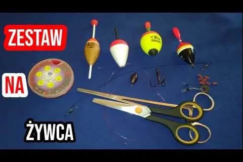 Jak wybrać spławik na żywca, aby zwiększyć swoje szanse na sukces