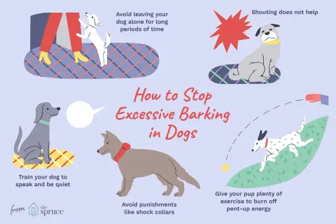 Illustration shows dogs barking and tips to stop it. One dog is barking at a person's legs, another is sitting with a red starburst, and a third is playing fetch.