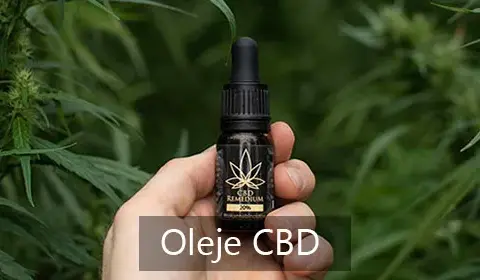 Naturalnie z konopi - wybór produktów, które poprawią Twoje samopoczucie