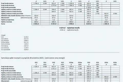 Ile kosztuje 1 kWh w taryfie G11 Tauron? Sprawdź aktualne ceny!