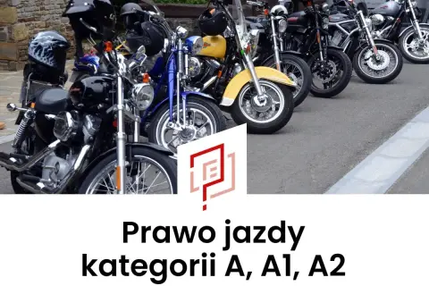 Rząd motocykli, od czarnych po żółty, gotowych na jazdę. Marzysz o prawo jazdy na motor? Kategorie A, A1, A2 czekają!