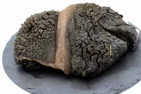 Ein roher Rinderpansen mit seiner charakteristischen, wabenartigen Struktur liegt auf einem dunklen Stein.