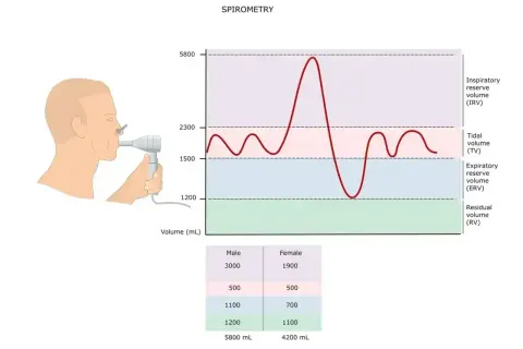 Graficzna prezentacja badania spirometria: człowiek z ustnikiem, krzywa objętości oddechowej i dane.