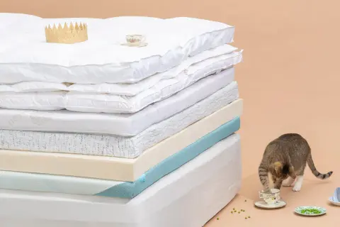 A stack of mattress toppers, showing what mattress toppers are made of: down, memory foam, and latex. A cat plays with peas near teacups.
