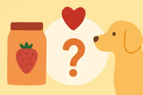 Ein Hund schaut neugierig auf ein Glas Erdbeeren und ein Herz. Kann er sie fressen, ohne Durchfall zu bekommen?
